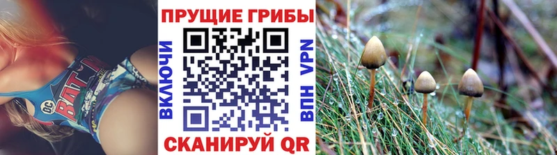 Псилоцибиновые грибы MAGIC MUSHROOMS  купить наркотик  ОМГ ОМГ ССЫЛКА  Окуловка 